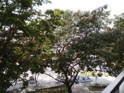 Blk 643 Jurong West Street 61 (Jurong West), HDB 4 Rooms #183077102